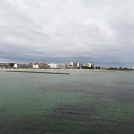 Schmetterling I Großenbrode